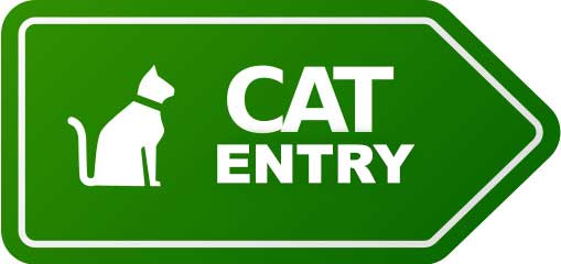 Cat Entry